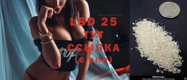 хмурый Абаза