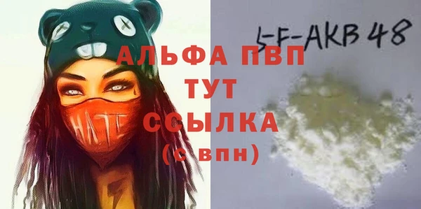 хмурый Абаза