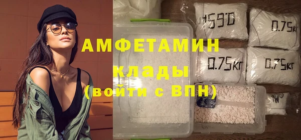 хмурый Абаза