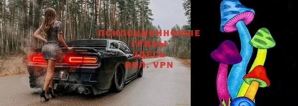 гашик Алексеевка