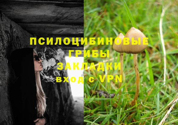 индика Абдулино